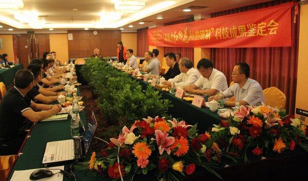 图10、中国建筑材料联合会科技部主任潘东晖在主持会议.jpg